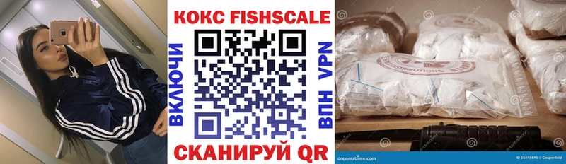 Купить  Кинель  Cocaine FishScale 