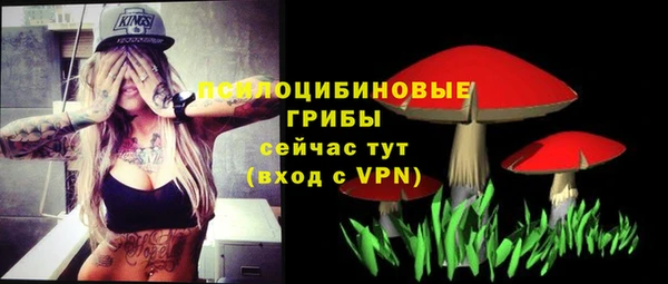 бутират Гусиноозёрск