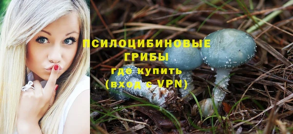 гашишное масло Гусь-Хрустальный