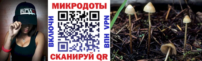 Псилоцибиновые грибы прущие грибы  Купить где  Кинель 